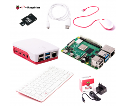 Pack de démarrage Raspberry Pi 4 version 4 GO avec Clavier, Souris et connectiques - RASPBERRY